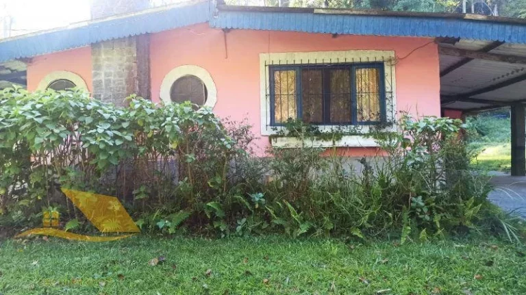 Imagem Vendo Chácara com 1800 mts² e Piscina