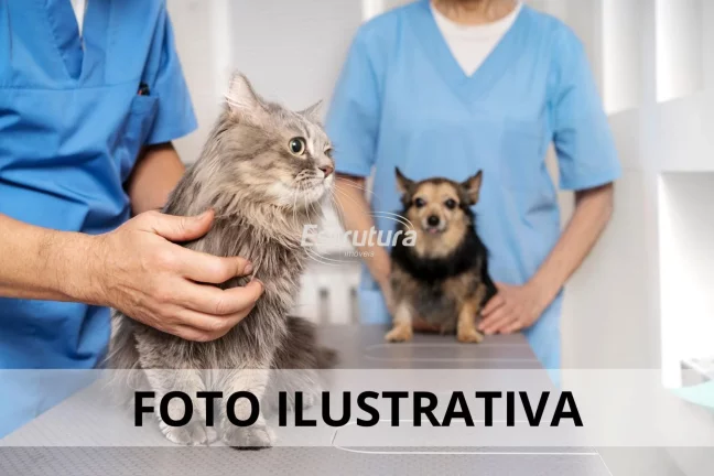 Ótima oportunidade de investimento! Pet Shop a venda