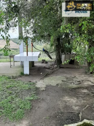 Imagem Sítio para Venda em Centro Morro Redondo-RS - 1645