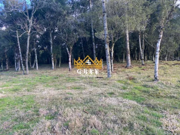 Imagem Chácara - Sítio com 1 Dormitorio(s) localizado(a) no bairro Serra Grande em Igrejinha / RIO GRANDE DO SUL Ref.:1388