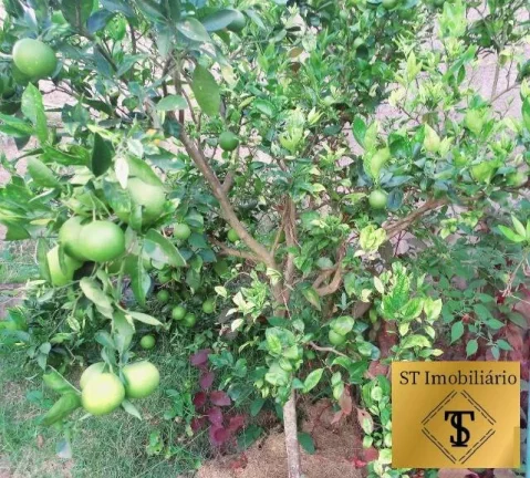 Imagem Chácara Alto Padrão Atibaia Ótima Localização