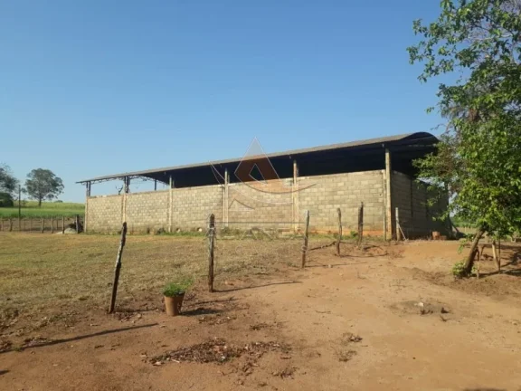 Imagem Fazenda - Cajuru - Zona Rural