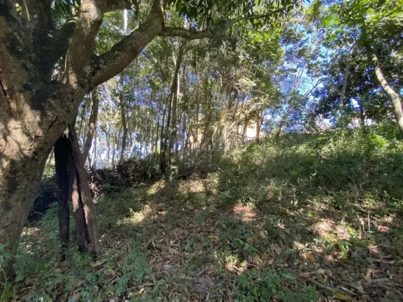 Imagem Terreno com 990 m2 no Bairro Boa Morte – Ideal para investimento ou grandes projetos