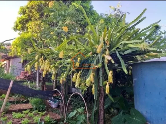 Imagem Chácara à venda no bairro Paraíso da Cachoeira - Mogi Mirim/SP