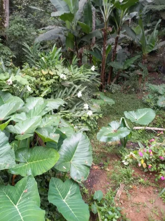 Imagem Chácara para Venda em São Bernardo do Campo / SP no bairro Capivari