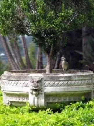 Imagem Terreno à venda, 1000 m² por R$ 270.000,00 - Village Ipanema II - Araçoiaba da Serra/SP