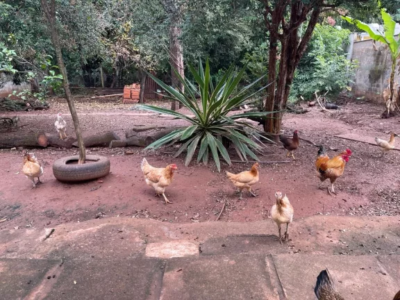 Imagem CHÁCARA A VENDA - JARDIM JOÃO PAULO II - SUMARÉ