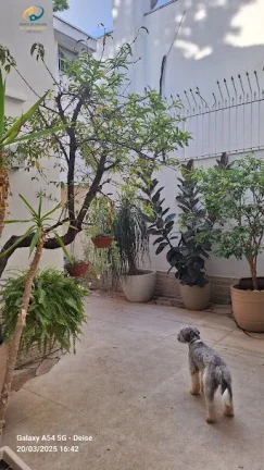 Imagem Sobrado à venda no bairro Indianópolis - São Paulo/SP