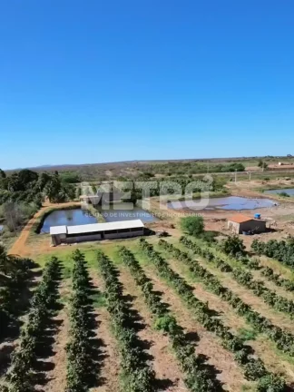 Imagem Área Beira de Rio à venda com 34ha, casa, 2 tanques criação de peixes, Petrolina