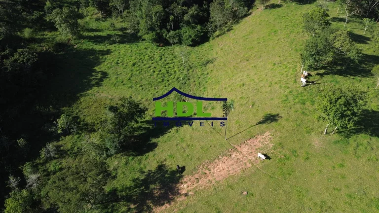 Imagem Chácara com córrego no meio 1 Alqueire e 5 Lts 100 kms de Goiânia