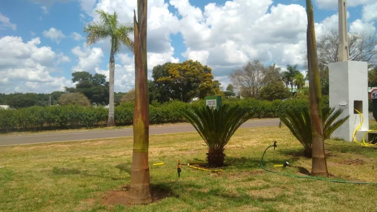 Imagem SOBRADO ALTO PADRÃO NO CONDOMÍNIO NINHO VERDE II COM PISCINA GRANDE,