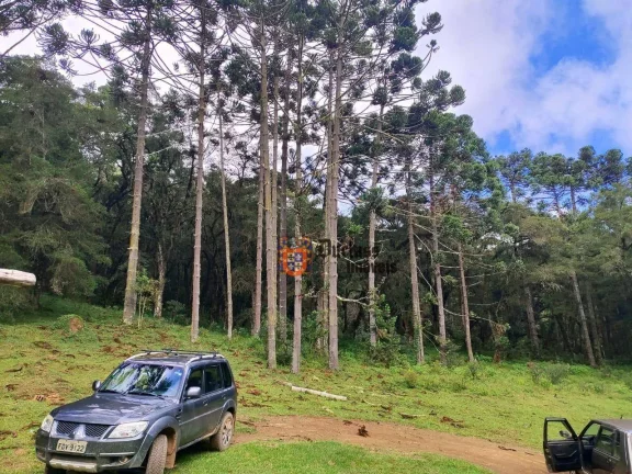 Imagem Sítio à venda, 60500 m² por R$ 905.000 - Bom Jardim - Camanducaia/MG
