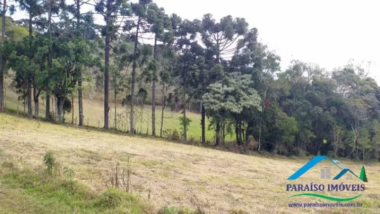Imagem Paraíso Ecológico na Serra da Mantiqueira: Fazenda com 38,72 hectares!
