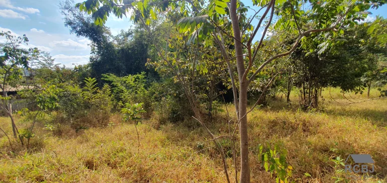 Imagem TERRENO TEMPORADA em ESMERALDAS - MG, ESMERALDAS/QUATI