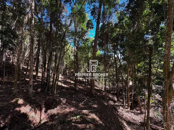 Imagem Terreno à venda, 10.793m² por R$ 440.000 - Albuquerque - Teresópolis/RJ