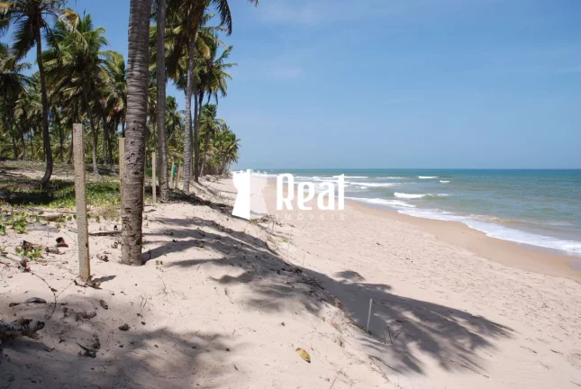 Imagem Terreno Pé na Areia