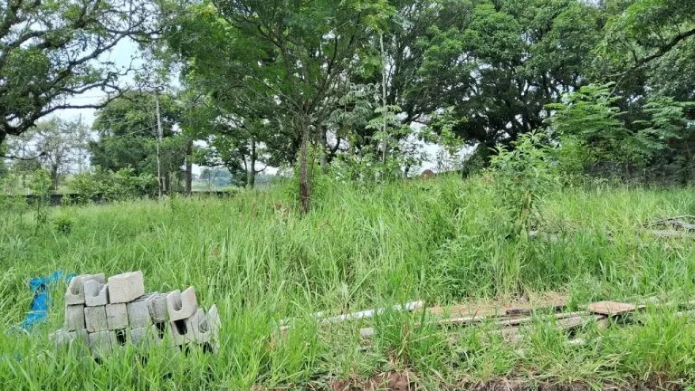 Imagem Terreno à venda, 1100 m² por R$ 170.000,00 - Chácaras Santa Maria - Jacareí/SP