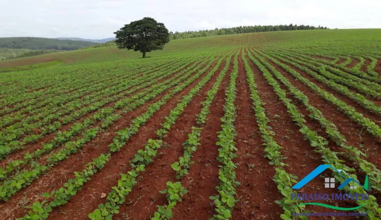 Imagem Fazenda Espetacular às Margens da Represa de Furnas - Oportunidade Única!
