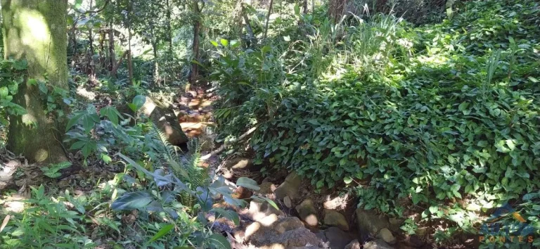 Imagem Terreno com 30.958m2, à venda em Buenos Aires - Guarapari/ES