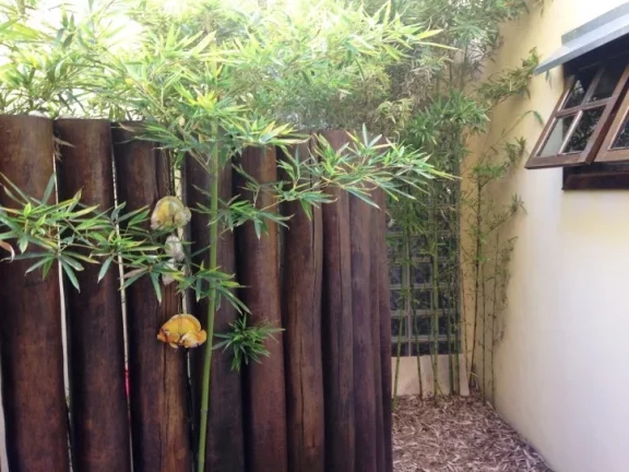 Imagem EXCELENTE CASA, BEM LOCALIZADA NO JARDIM ESTORIL 3.