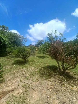 Imagem Terreno de 6.000m2 à Venda na BR-040 – Ideal para Investimentos