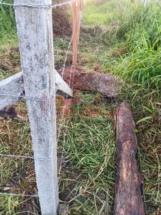 Imagem Terreno à venda 378 m² - Balneário Alvorada - Itapoá/SC