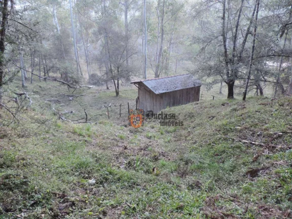Imagem Sítio com 2 dormitórios à venda, 1000000 m² por R$ 28.000.000,00 - Dos Marmelos - Campos do Jordão/SP