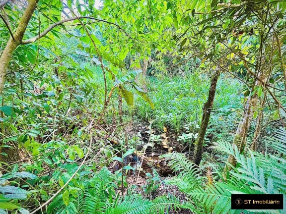 Imagem Sitio na Serra da Cantareira em Mairiporã