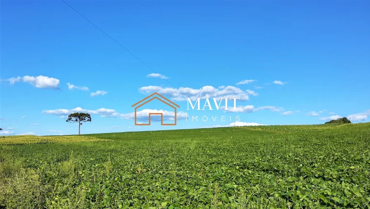 Imagem SITIO RURAL em CAPÃO ALTO - SC, Capão Alto