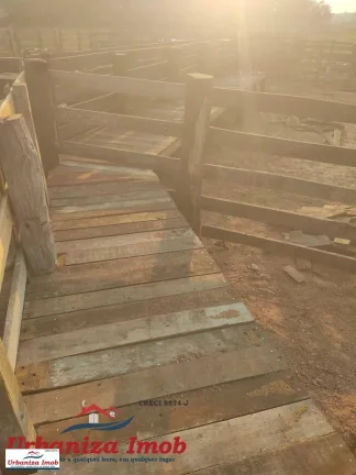 Imagem Fazenda à Venda no Município de Camapuã/MS contendo 1003 hectares com Formação 50% feito esse ano | Mangueiro Novo sendo finalizado | 18 KM da Rodovia