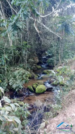 Imagem Área de Mata Compensação Ambiental ou Crédito de Carbono S. da Mantiqueira!