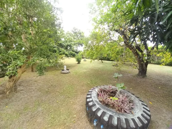 Imagem Chácara a venda em Peruíbe!!!