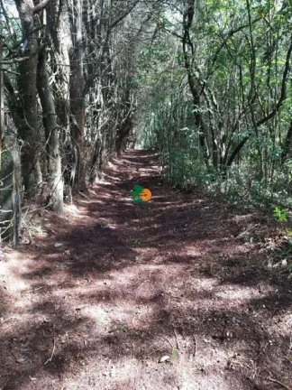 Imagem Terreno para Venda em São Roque, Mombaça