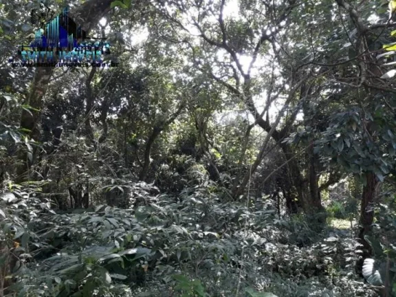 Imagem Terreno pronto para construir em loteamento residencial ao lado do Rodoanel e da Granja Viana. 

Lot...