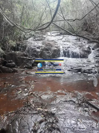 Imagem Sítio 3 alqueires ou 7,26 hectares com casa, cercada, 6.000 pés de café em São Tomás de Aquino - MG