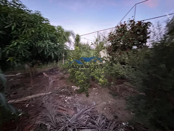 Imagem Chácara para Venda em Sarandi, Vera Cruz, 3 banheiros, 1 vaga