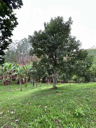 Imagem Sítio com 6 Hectares em Nova Trento