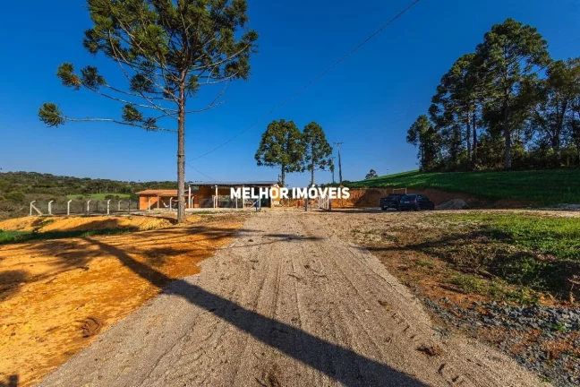 Imagem Sítio dos Sonhos no Paraná – Aceita Permuta de Maior Valor de Imóveis em Balneario Camboriú e Meia Praia de Itapema-SC.