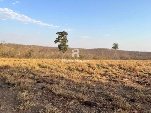Imagem Fazenda à venda sendo 234 Hectares para Pecuaria , na Região Faval, Nossa Senhora do Livramento, MT