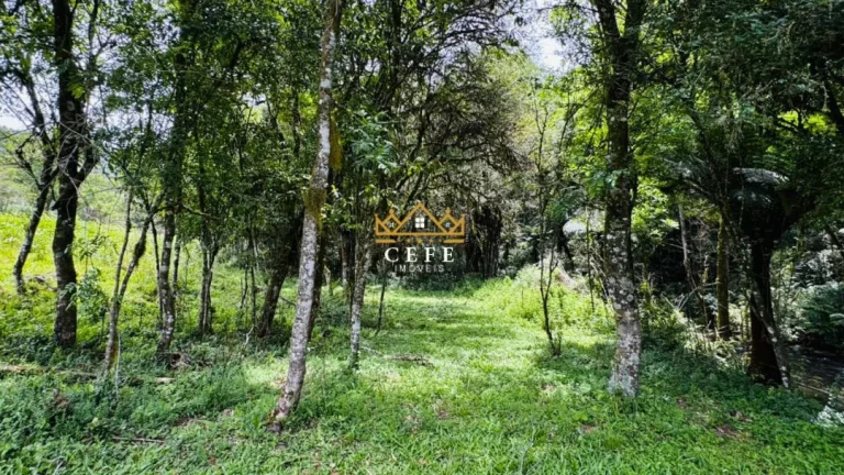 Imagem Chácara - Sítio com 3 Dormitorio(s) localizado(a) no bairro Serra Grande em Igrejinha / RIO GRANDE DO SUL Ref.:1594
