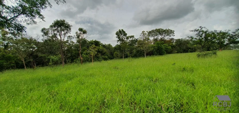 Imagem AREA RURAL em ESMERALDAS - MG, ANDIROBA
