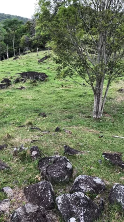 Imagem Terreno à venda em Garopaba-SC, bairro Macacu, com 10.000m² de área - Oportunidade única!