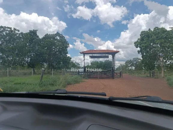 Imagem Fazenda a venda com 890 hectares Dupla aptidão na Região de Nossa senhora do Livramento Livramento MT
