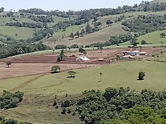 Imagem Sítio para Venda em Mandaguari / PR