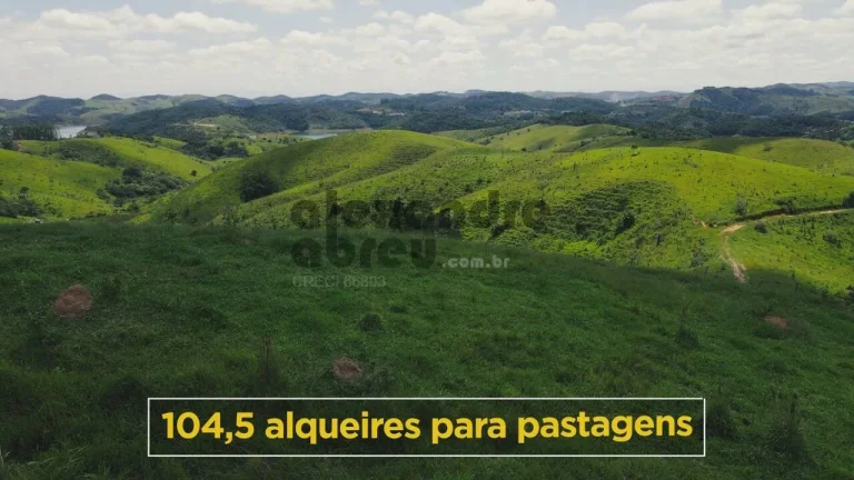 Imagem Fazenda de 130 alqueires à venda em Santa Branca com 30 córregos