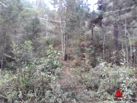 Imagem Terreno a Venda no Vale Encantado, Campos do Jordão - SP