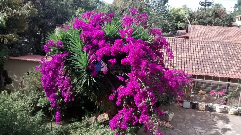 Imagem Casa em Condomínio para Venda em Brasília, Setor Habitacional Arniqueira (Águas Claras), 7 dormitórios, 4 suítes, 8 banheiros, 6 vagas