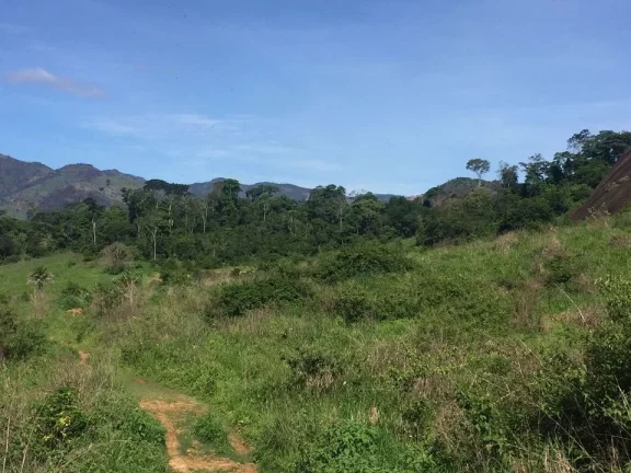 Imagem FAZENDA RURAL em COLATINA - ES, ÁREA RURAL DE COLATINA