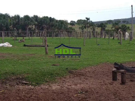 Imagem 936 Hectares região de Ponte Branca MT