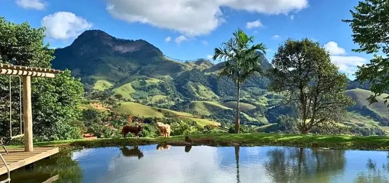 Imagem Santuário das Águas: Design Contemporâneo e Refúgio Particular na Mantiqueira